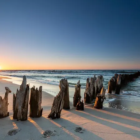 Daire Your Holidays Waves