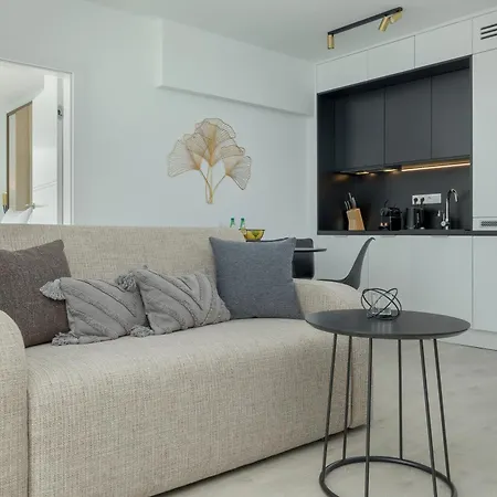 Daire Your Holidays Waves *