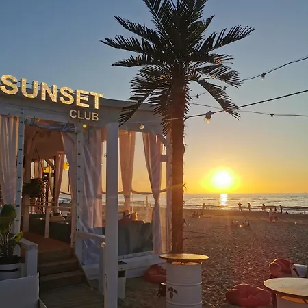 Daire Your Holidays Waves *